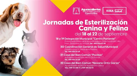 Jornada de Esterilización Canina y Felina en Aguascalientes Cuida a