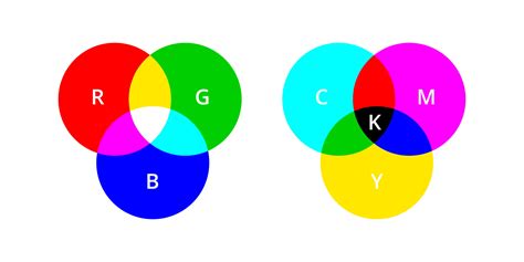 Esquema De Color Básico Rgb Y Cmyk Teoría Del Color Primario E Ilustración Vectorial Del Modelo