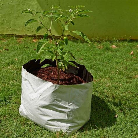 Skyplant Gallon Plastic Nursery Grow Bag For Growing And Seedling