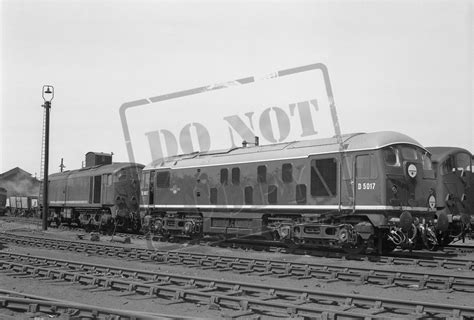 Rail Online Class 24 Br Sulzer Type 2 D5017 1959 06 Derby