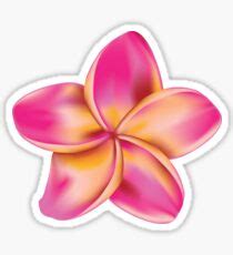 Plumeria Stickers Redbubble