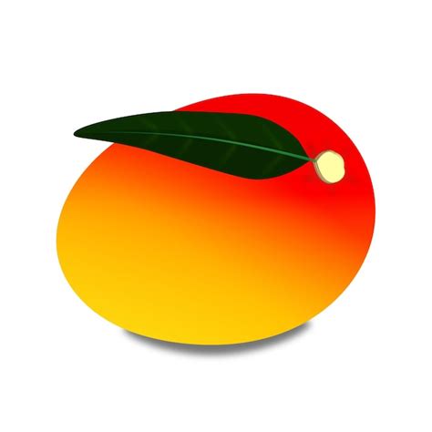 Premium Vector Vector Ripe Mango Illustration