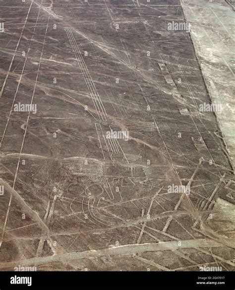 Geoglifo Pelican Nazca O Nasca Misteriosas Líneas Y Geoglifos Vista