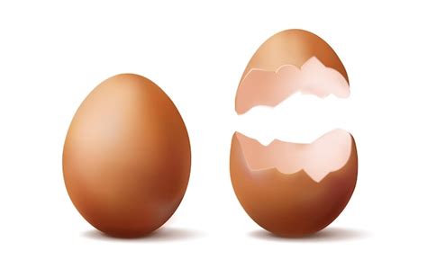 Broken Egg Shell Clipart Graphic Free