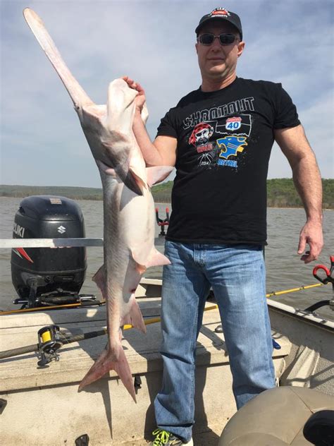 Fort Gibson Lake Spoonbill Paddlefish - Lance's Fishing Guide Service (918) 607-7357