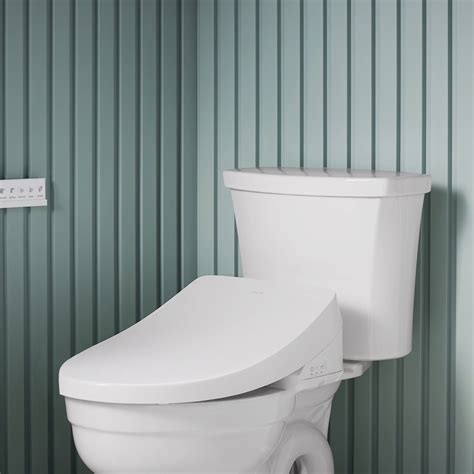 Costco Wholesale Bidet Toilet Seat – YPDJH
