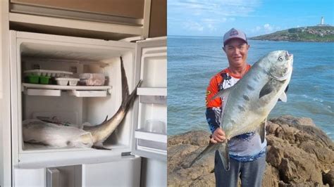 Não é história de pescador Pampo mais de 7Kg é pescado no Farol de