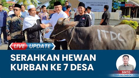 ITDC Serahkan 7 Sapi Ke Sejumlah Desa Penyangga KEK Mandalika Pastikan