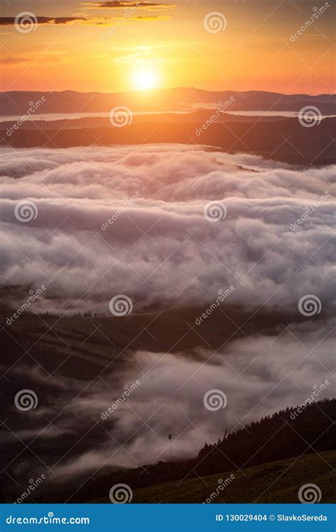 Fenomeno Del Tempo Di Estate Paesaggio Stagionale Con La Nebbia Di