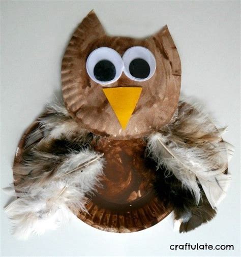 Paper Plate Owl Craft Animal Crafts For Kids Owl Crafts Feather Crafts