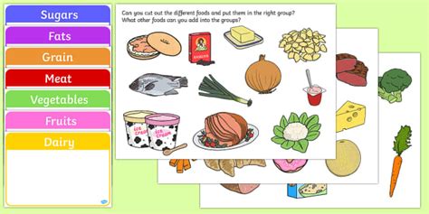 Food Group Sorting Activity Food Food Groups Matching Cards