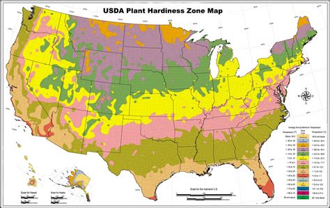 North California Plant Hardiness California State Map Garden Zone In ...