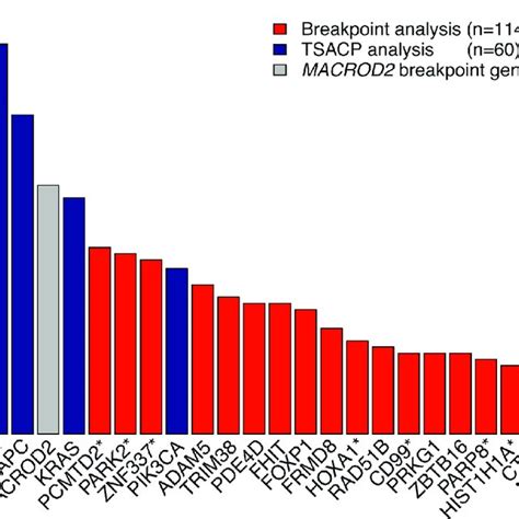 Gene Breakpoint And Gene Mutation Frequencies Of The Most Frequently