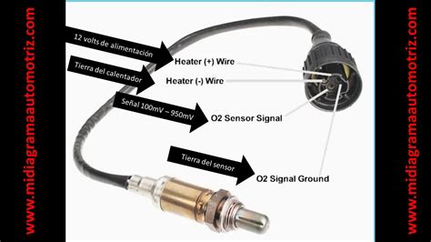 Diagrama De Cables Del Sensor De Oxigeno Sensor De Oxígeno