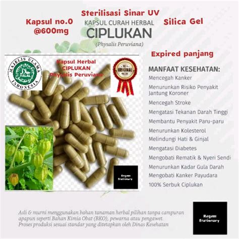 Jual Kapsul Bubuk Ciplukan Herbal Jamu Obat Curah 100 Butir Shopee