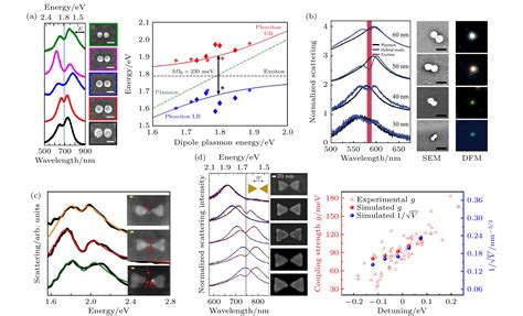 Strong Coupling Of Single Plasmonic Nanoparticles And Nanogaps With