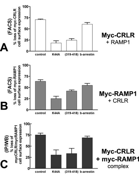 Effect Of Arrestin And Dynamin Dominant Negative Mutants On