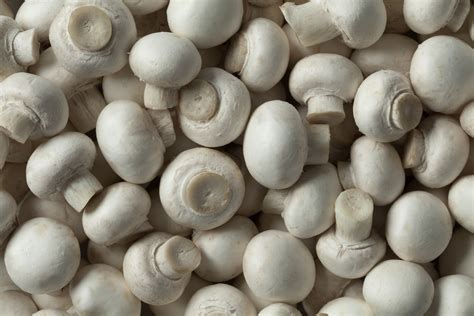 Bulk Buy Button Mushrooms Wholesale Kff