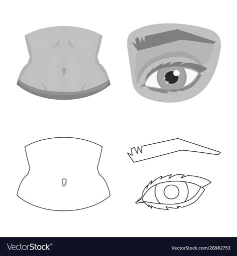 design body  part symbol set royalty  vector image
