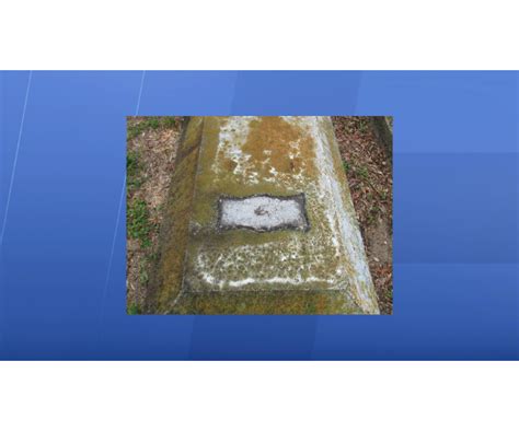 Homeless Woman Charged With Desecrating Graves In Seffner