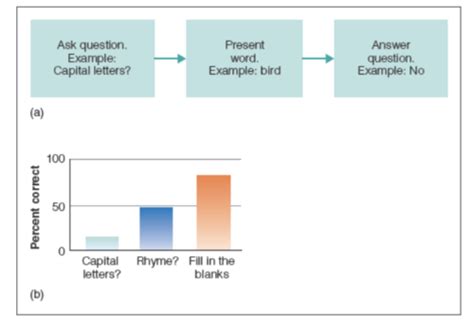 Ch Flashcards Quizlet