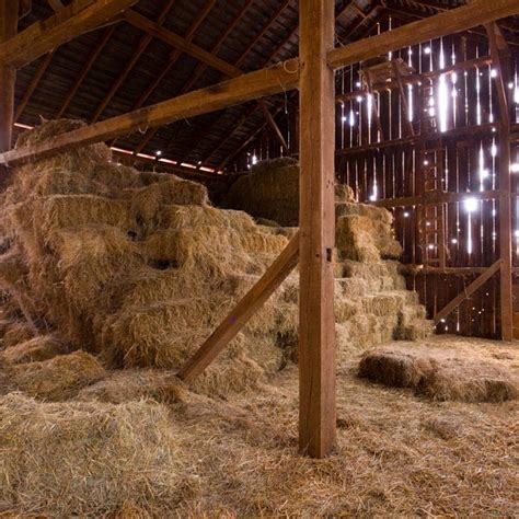 Buy Ofila Nativity Barn Backdrop X Ft Hay Bale Background Christmas