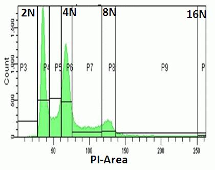 ploidy flow cytometry core facility