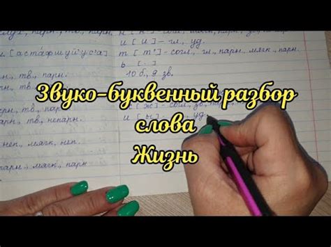 Звуко-буквенный разбор слова Жизнь - YouTube