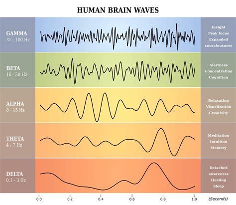 Theta Burst Stimulation Itbs Florida Tms Clinic [2024]