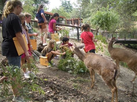 Folsom Zoo Friends – Folsom Zoo Friends