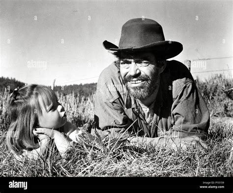 Night Of The Grizzly Hi Res Stock Photography And Images Alamy