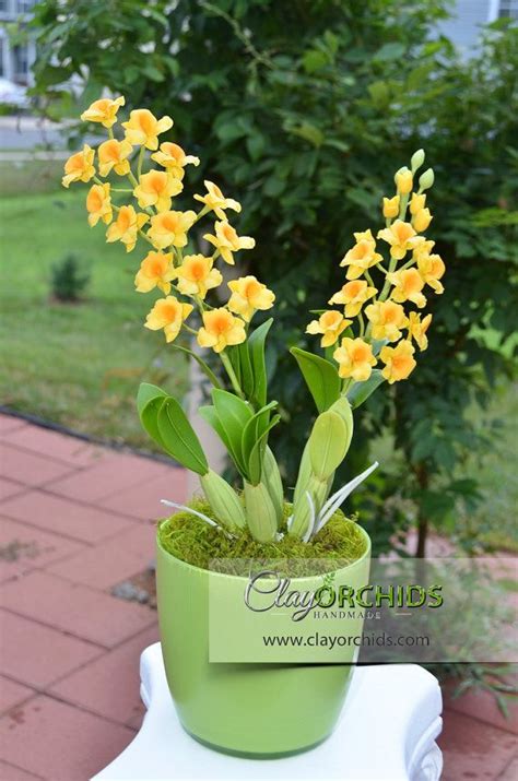 Premium Handcrafted Yellow Dendrobium Chrysanthum Orchid Etsy