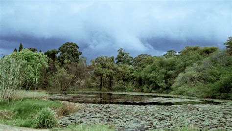 Harare Unscripted: 10 Untold Stories - Away Africa