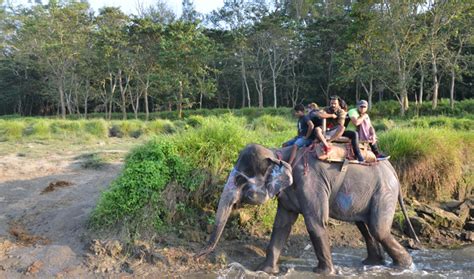 Chitwan Jungle Safari - Tourist Link Trek