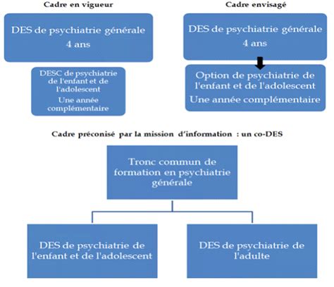 Situation De La Psychiatrie Des Mineurs En France