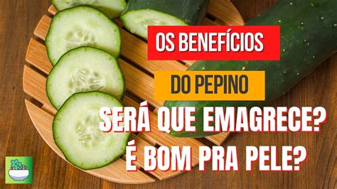 Os Benef Cios Do Pepino Para O Organismo Ser Que Emagrece Bom Para