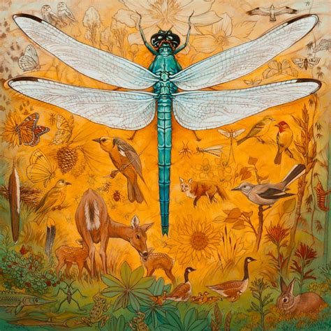 Montana Natural History Center | Missoula MT