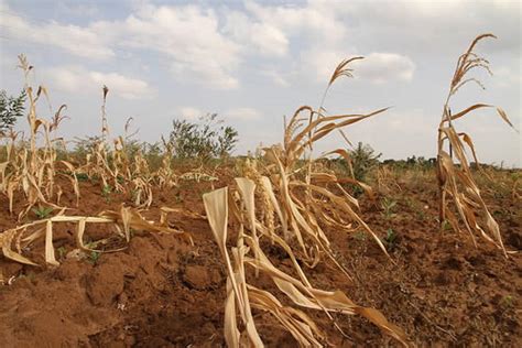 Carbon Farming A Solution To Global Land Degradation And Poverty