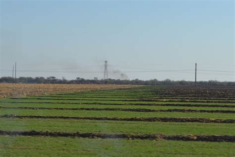 Inician Tr Mites Para Apoyo A Productores En Sagarpa El Siglo De Torre N