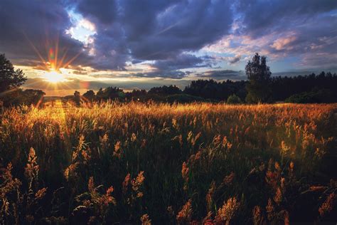 Wallpaper Sunlight Landscape Sunset Nature Sky Field Sunrise