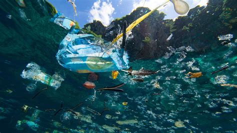 Ocean Plastic What You Need To Know Ecowatch