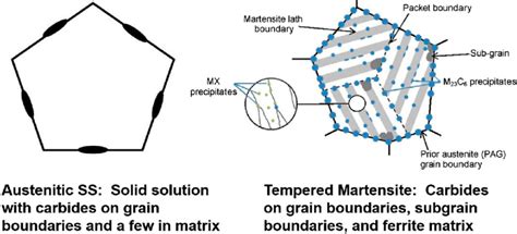 Schematic Diagram Illustrating The Difference In The Microstructure Of