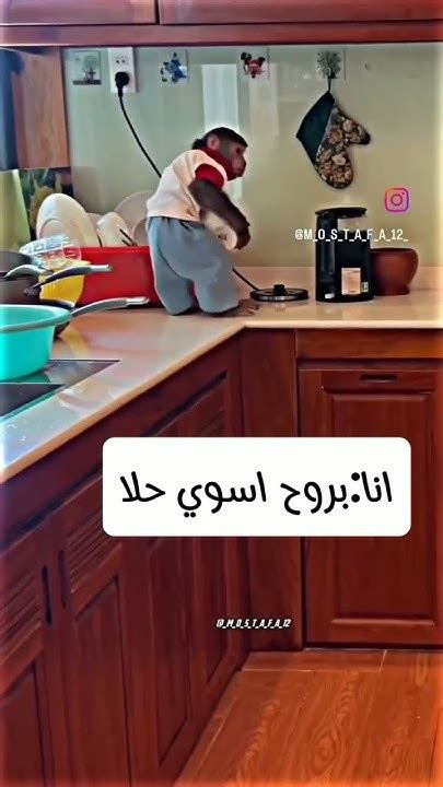 دمعت من كثر الضحك😂😂 Youtube