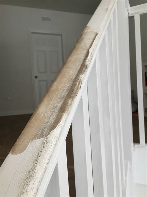 How To Tell If A Paint Is Latex at Dominic Nanya blog