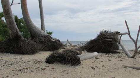 Global Warming The Effects Of Climate Change In Micronesia