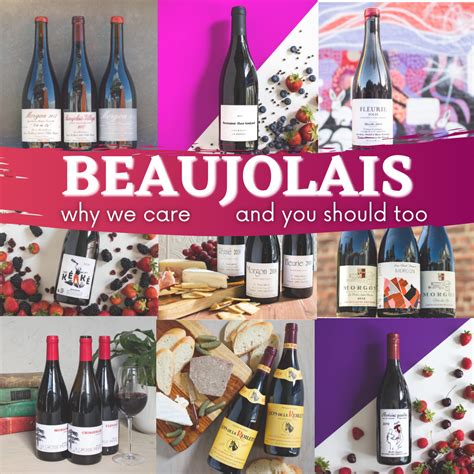 An Introduction To The Wines Of Beaujolais Why Everyone Should Love B