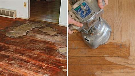 How To Quickly Remove Urine Stain Off Hardwood Floor Expert Tips