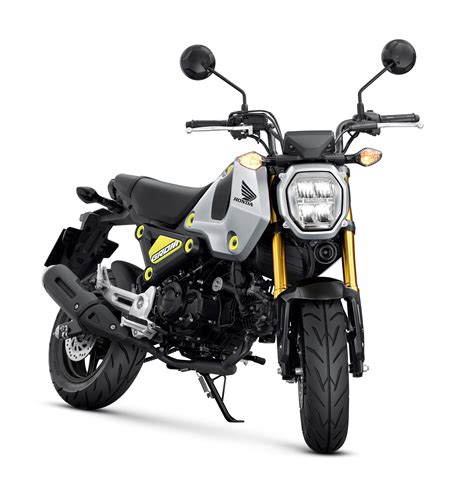 2021 Honda Msx 125 Grom Abs Guide • Total Motorcycle