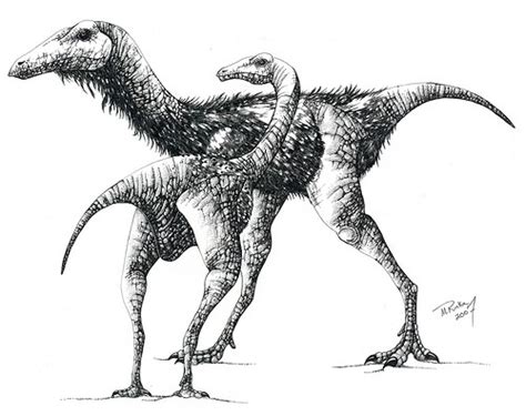 Archaeornithomimus Pictures & Facts - The Dinosaur Database