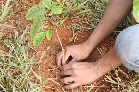 SineBahia Divulga Oportunidades Para Feira De Santana E Alagoinhas